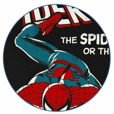 Kids T-shirt Spider-Man